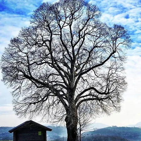 Kaiserhaus Vendégház 3*