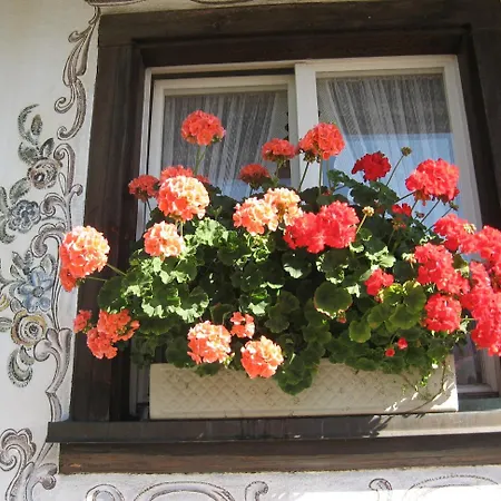 Kaiserhaus Konukevi 3*