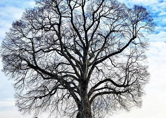 Kaiserhaus Gæstehus 3*